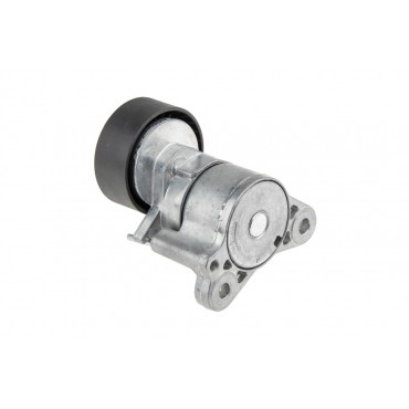 Galet Tendeur Courroie d'Accessoire Pour Peugeot Fiat Chrysler Citroën