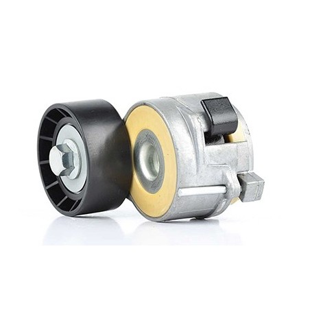 Galet Tendeur Courroie d'Accessoire Pour Peugeot Fiat Citroën 1611424880 5751F3