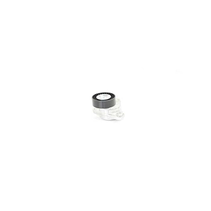 Galet Tendeur Courroie d'Accessoire Pour Mercedes-Benz Sprinter Viano 2722000070