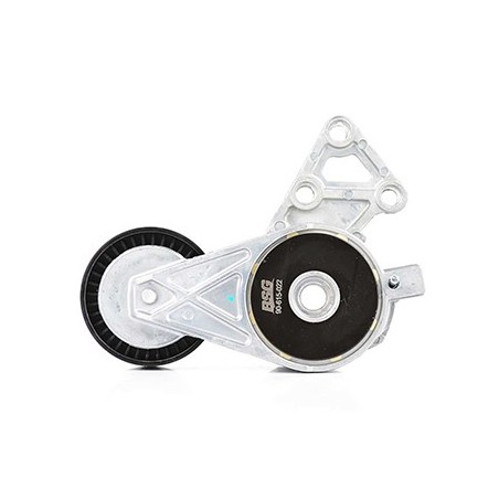 Galet Tendeur Courroie d'Accessoire Pour VW Bora Audi Seat Skoda 06A903315D