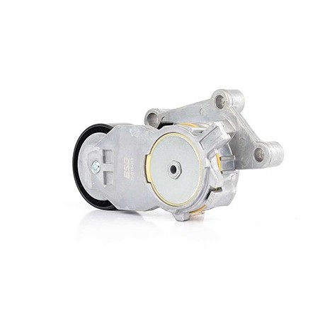 Galet Tendeur Courroie d'Accessoire Pour Peugeot Ford Suzuki Citroën 1611425680