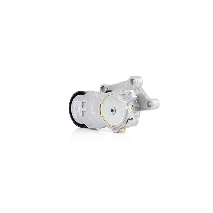 Galet Tendeur Courroie d'Accessoire Pour Peugeot Ford Suzuki Citroën 1611425680