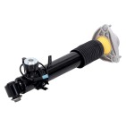 Amortisseur Arrière Gauche Pour BMW X5 F15 F85 X6 F16 F86 37106875091