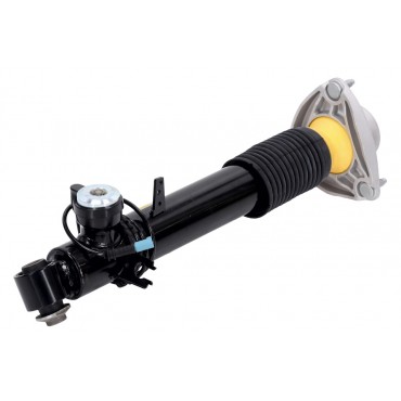 Amortisseur Arrière Gauche Pour BMW X5 F15 F85 X6 F16 F86 37106875091