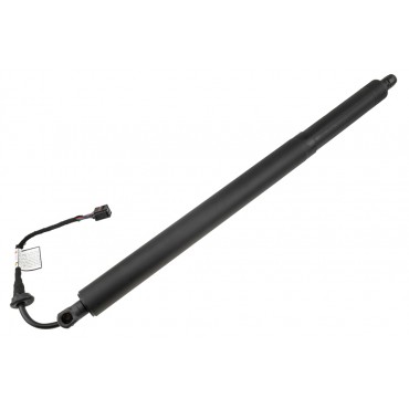 Vérin Hayon de Coffre Gauche Pour Hyundai Santa Fé IV 81831S1600