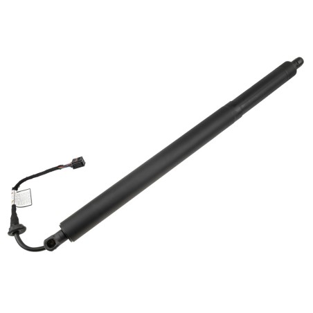 Vérin Hayon de Coffre Gauche Pour Hyundai Santa Fé IV 81831S1600