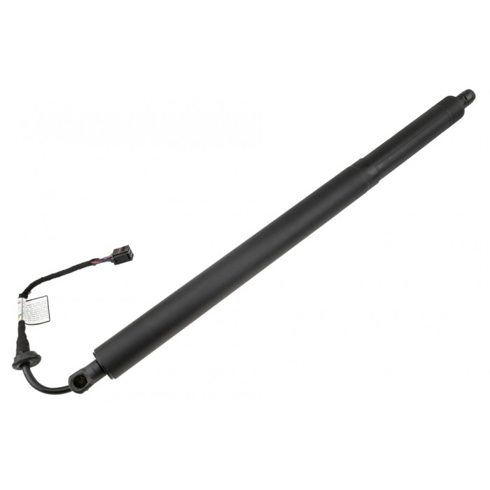 Vérin Hayon de Coffre Gauche Pour Hyundai Santa Fé IV 81831S1600