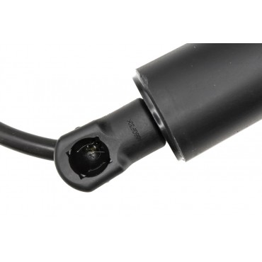 Vérin Hayon de Coffre Gauche Pour Kia Carnival IV 81831R0100