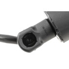 Vérin Hayon de Coffre Droit Pour Kia Carnival IV 81841R0100