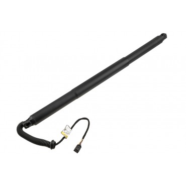 Vérin Hayon de Coffre Gauche Pour VW Tiguan Seat Tarraco 5NA827851E