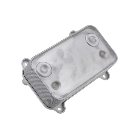 Radiateur d'Huile Moteur Pour Porsche Cayenne 94810727603