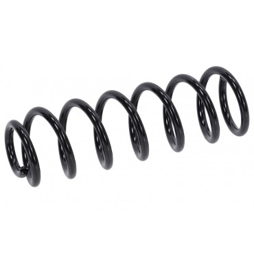 Ressort de Suspension Arrière Pour Citroën C5 5102X8
