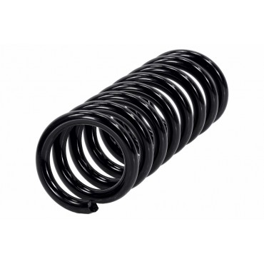 Ressort de Suspension Arrière Pour Mercedes-Benz Classe C T-Model 2043240404