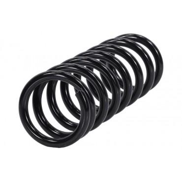 Ressort de Suspension Arrière Pour Peugeot Citroën Mitsubishi 5102AL 4140A174