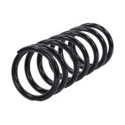 Ressort de Suspension Arrière Pour Nissan Pathfinder III 55020EB30A 55020EB31A