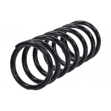 Ressort de Suspension Arrière Pour Nissan Pathfinder III 55020EB30A 55020EB31A
