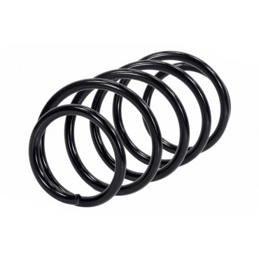 Ressort de Suspension Avant Pour Opel Astra H 312262 312263 93179695 93179697