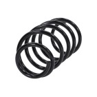 Ressort de Suspension Avant Pour Opel Astra H 312261 93179683