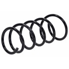 Ressort de Suspension Arrière Pour Dacia Duster 550202720R