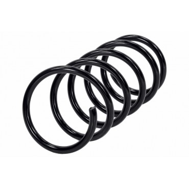 Ressort de Suspension Arrière Pour Dacia Duster 550202720R