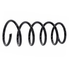Ressort de Suspension Arrière Pour Dacia Duster 550202720R