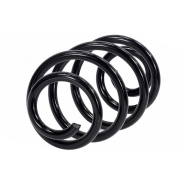 Ressort de Suspension Arrière Pour Renault Clio III Modus 8200341248 8200620457