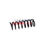 Ressort de Suspension Arrière Pour Mazda 5 CC3028011 CC3328011B CG4628011