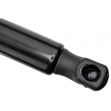 Vérin Hayon de Coffre Gauche Pour Chrysler Pacifica 68230342AE 68230342AF