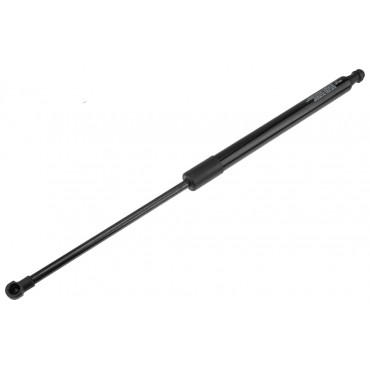 Vérin Hayon de Coffre Pour Renault Scénic IV 904501992R