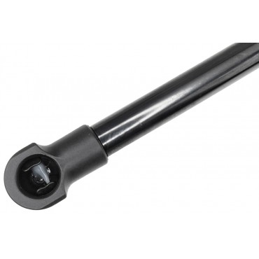 Vérin Hayon de Coffre Pour Renault Scénic IV 904501992R