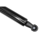 Vérin Hayon de Coffre Pour Renault Scénic IV 904501992R