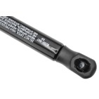 Vérin Hayon de Coffre Pour Suzuki 81850-77R00