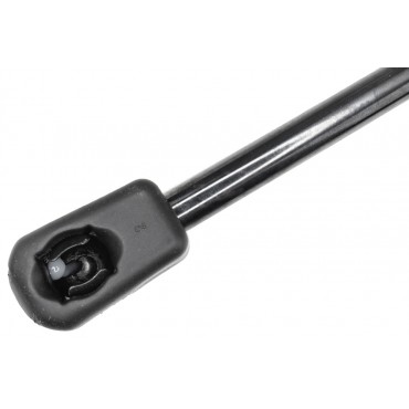 Vérin Hayon de Coffre Pour Skoda Fabia III AE-SK-053