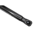Vérin Hayon de Coffre Pour VW Arteon 3G8827550A