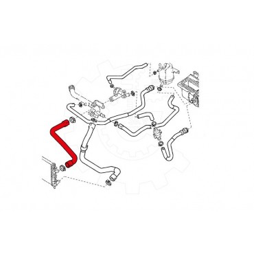 Tuyau d'Eau Liquide de Refroidissement Pour Renault Clio II Kangoo 8200026104