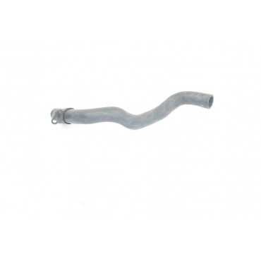 Tuyau d'Eau Liquide de Refroidissement Pour Renault Clio II Kangoo 7700414205