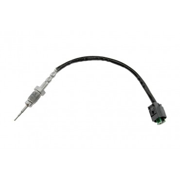 Sonde température gaz BMW 1 3 5 7 X3 X5 E53 E83 E65 E66 E67 E60 E61 13627794723