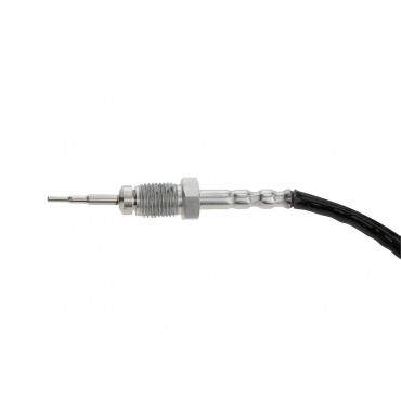 Sonde température gaz BMW 1 3 5 7 X3 X5 E53 E83 E65 E66 E67 E60 E61 13627794723
