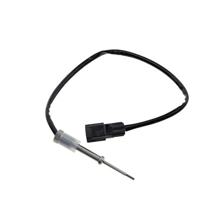 Sonde température gaz JUMPER B-MAX C-MAX ECOSPORT EDGE BOXER C30 S40 V70 1381181
