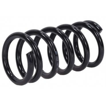 Ressort de Suspension Arrière Pour Mitsubishi Grandis MR594434 MR594435