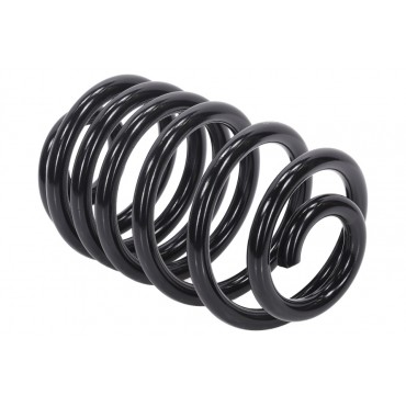Ressort de Suspension Arrière Pour Renault Opel Nissan 550202870R 4409728