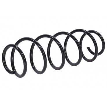 Ressort de Suspension Arrière Pour Renault Laguna III 550200003R
