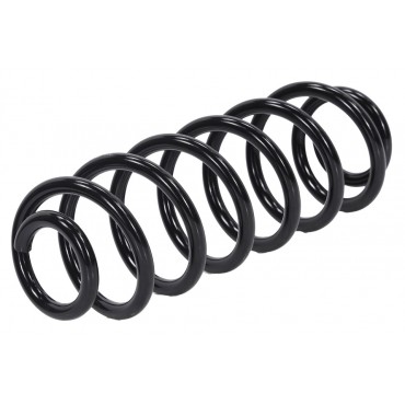 Ressort de Suspension Arrière Pour VW Passat 3C0511115AC