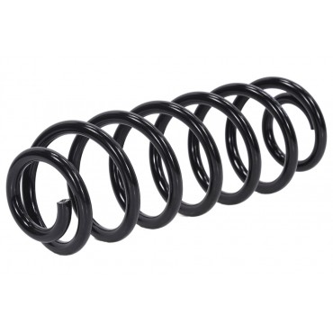 Ressort de Suspension Arrière Pour VW Passat 3C0511115AC