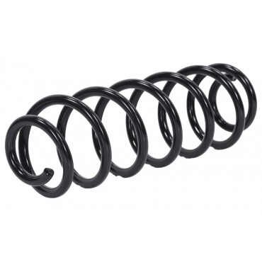 Ressort de Suspension Arrière Pour VW Golf V VI Skoda Superb II