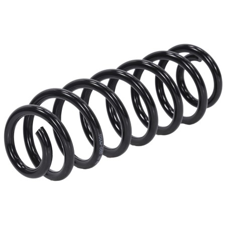 Ressort de Suspension Arrière Pour VW Passat 3C0511115AR