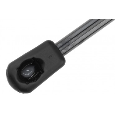 Vérin de Coffre Pour Citroën C5 9817000000
