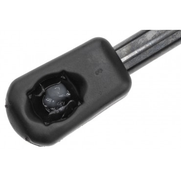Vérin de Coffre Pour Jaguar F-Pace HK83-406A10-AC