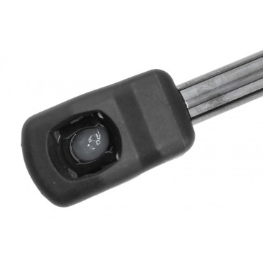 Vérin de Coffre Pour Mercedes-Benz GLC 2539800300 A2539800300