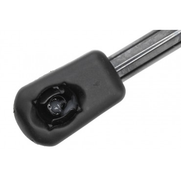 Vérin de Coffre Pour Dacia Jogger 904527379R